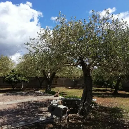 Da Patrizia Bed & Breakfast Fertilia