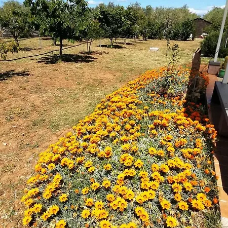 Bed & Breakfast Da Patrizia Fertilia